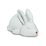 Sleeping Bunny - White