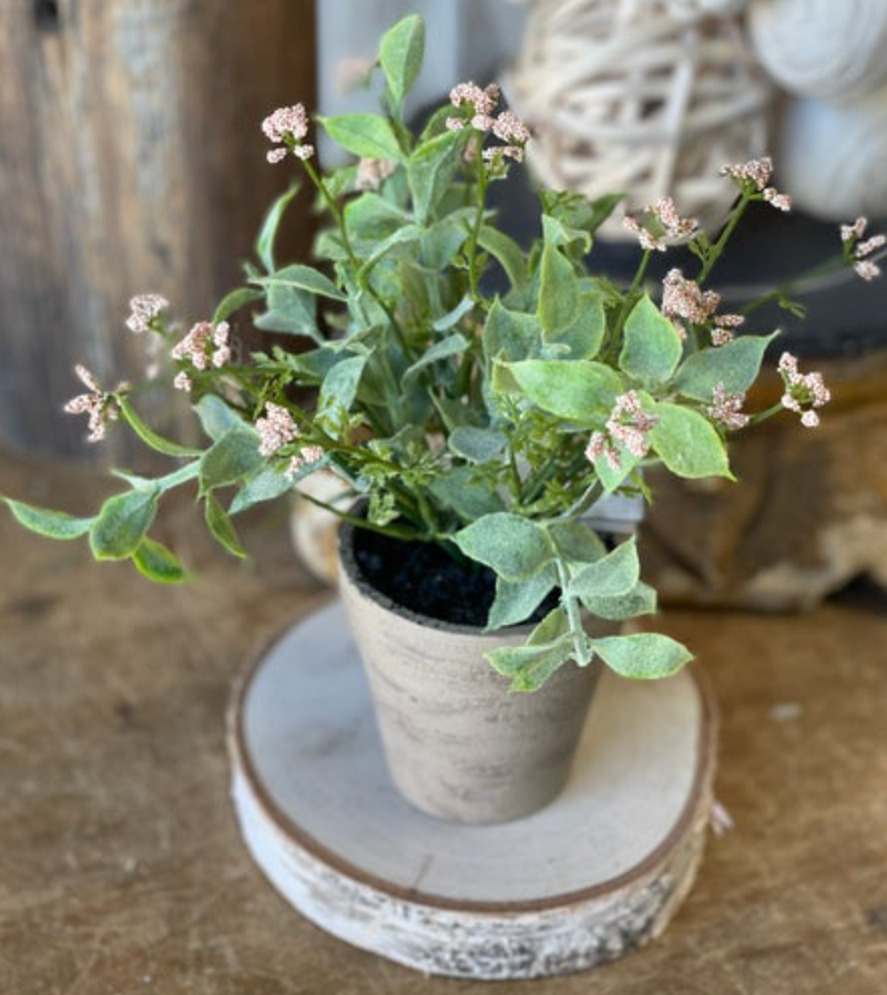 Flower with Pot - Green and Blush